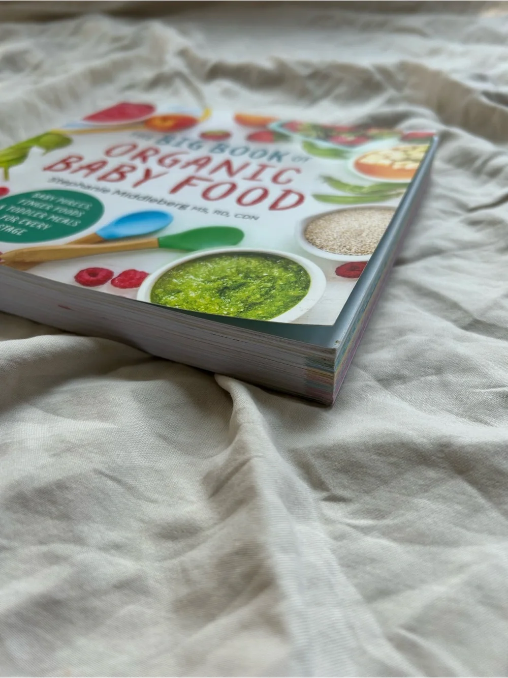 The Big Book of Organic Baby Food